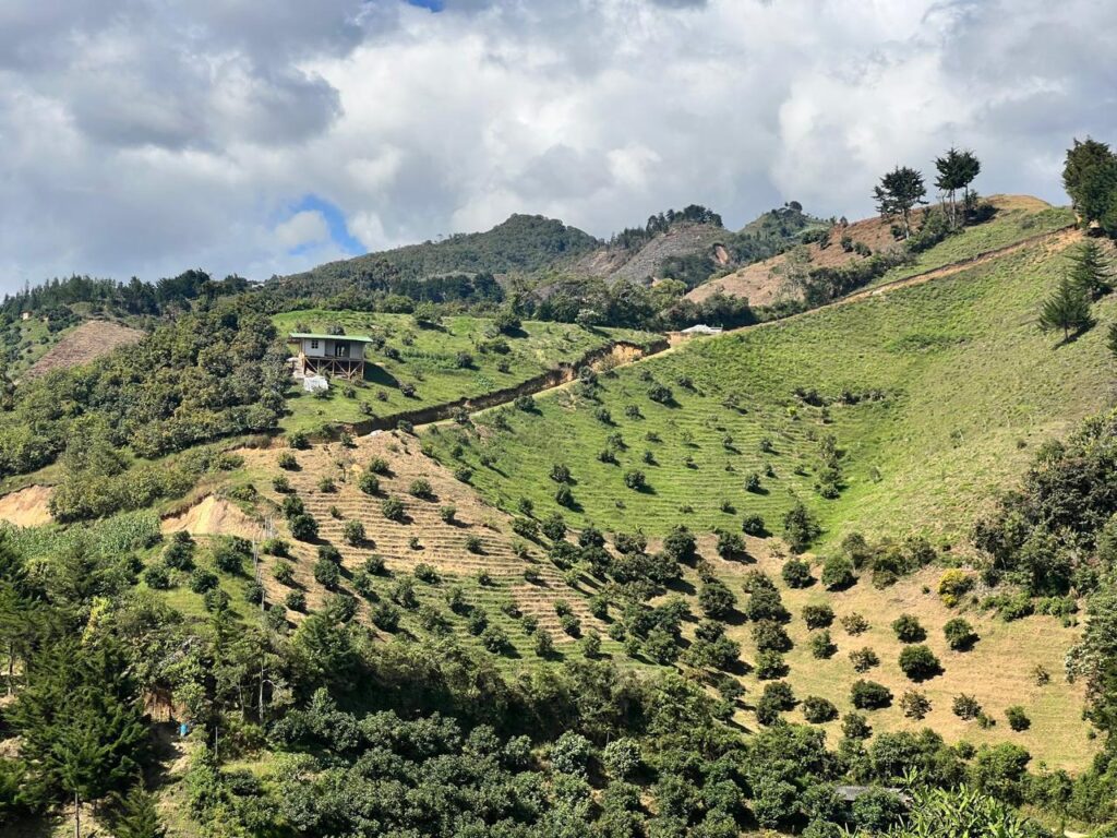 Inicio photo 2026 01 05 14 20 21