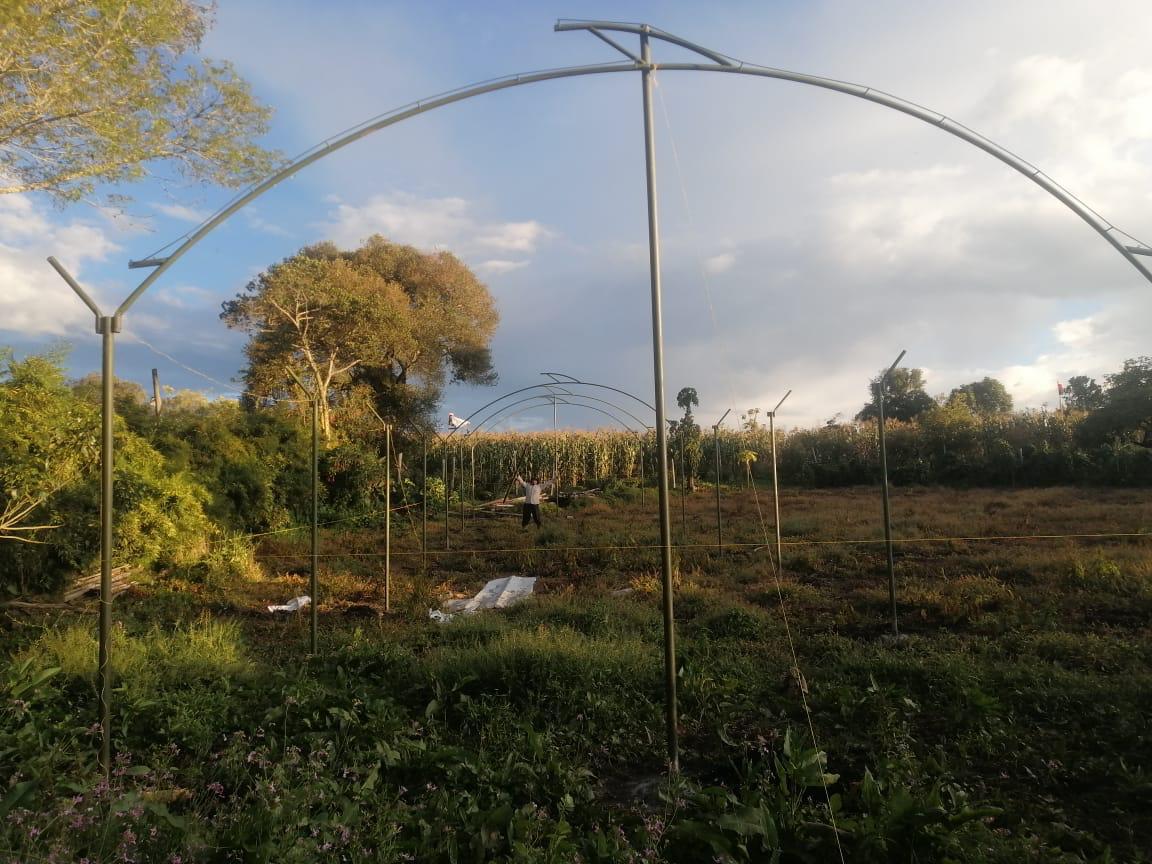 photo 2026 01 05 14 20 45